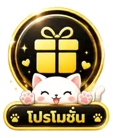 โปรโมชั่น6